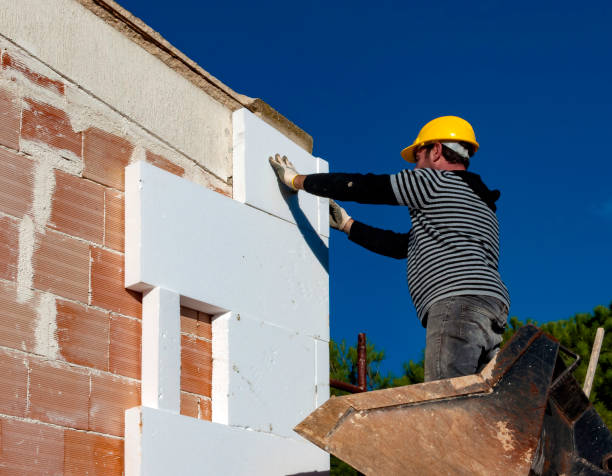 Best Types of Insulation in Las Lomas, CA