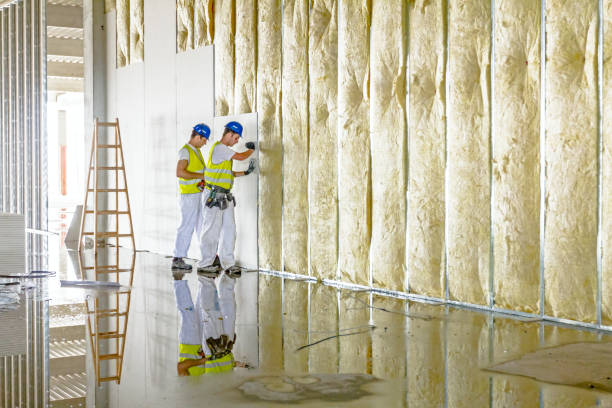 Best Insulation Installation Services in Las Lomas, CA